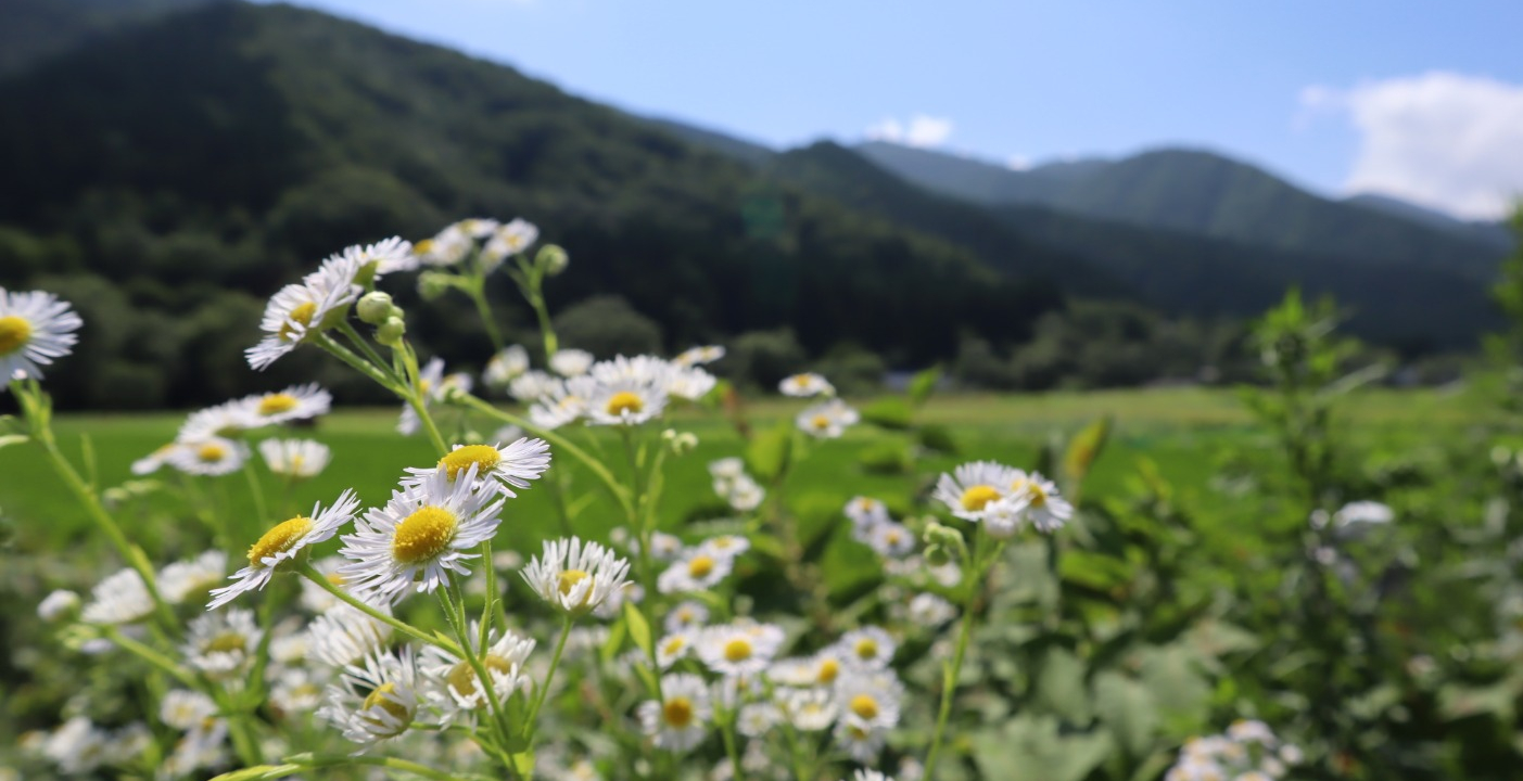 野原建設株式会社 富山県南砺市